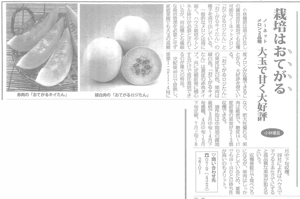 日本種苗新聞にて「おてがるロジたん」「おてがるキイたん」「天下布武」の記事が掲載されました。